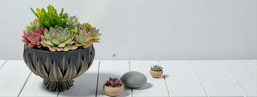 En güzel ürünler sizler için hazır