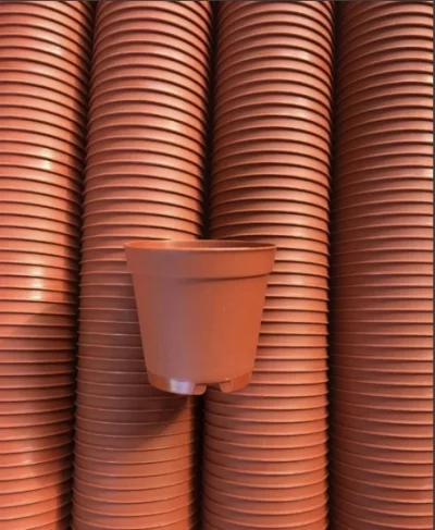 5,5 lık kaktüs saksısı 100’lü paket